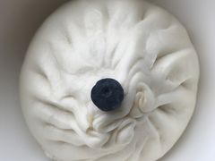 大肉包-白玉兰食品(甜云店)