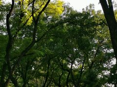 -玲珑塔公园