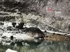 -雁荡山大龙湫景区