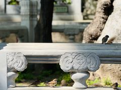 -潭柘寺景区