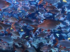 -成都浩海立方海洋公园