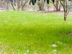 -梁鸿国家湿地公园