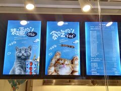 -开心猫无锡三阳广场店