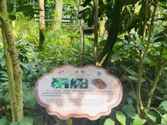 -南山植物园