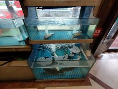 -樟树底(胜利河美食街店)