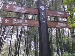 -莫干山风景区