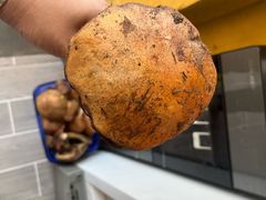 -小志家.野生菌鲜切牦牛肉牛杂火锅