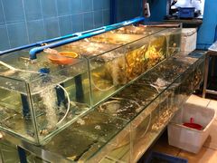 水产区-肥信潮菜(科新路店)