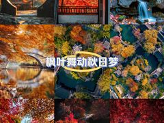 -拙政园