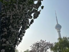 -中央广播电视塔