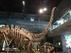-自贡恐龙博物馆