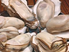 -蚝堡海鲜·威海菜·海肠捞饭·烧烤·亚洲吃蚝公司(幸福门店)