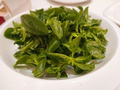 凉拌田七-金春禧(世茂国际广场店)