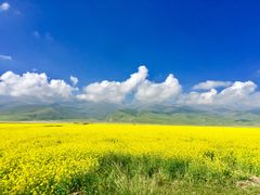 景点-青海湖国家重点风景名胜区