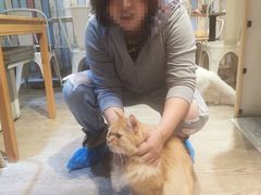 -小时光咖啡馆(开森度假森林店)