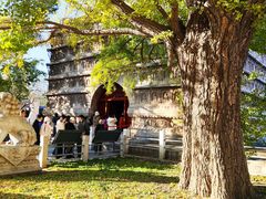 -北京石刻艺术博物馆(五塔寺)