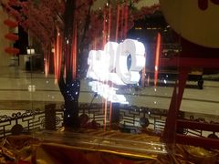 -常州武进九洲喜来登酒店