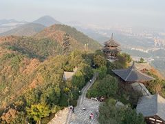 -杭州半山国家森林公园