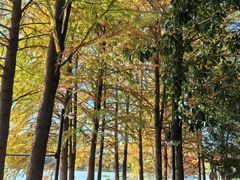 -浙江农林大学(东湖校区)