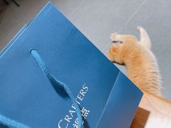 -LensCrafters亮视点(北京嘉里中心店)