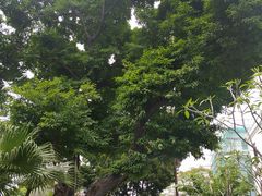 -荔湾博物馆