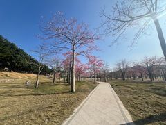 -风云岭森林公园