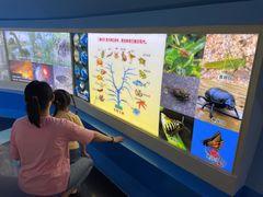 -上海昆虫博物馆