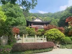 -十八棵（老龙井）御茶园(老龙井店)