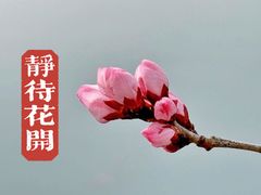 -颐和园