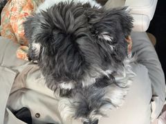 -阿露佳·舌尖上的安吉菜