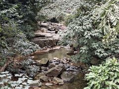 -鼎湖山风景区