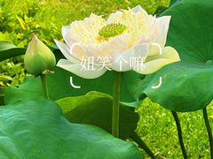 -云溪植物园