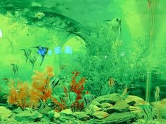 -秦皇岛新澳海底世界
