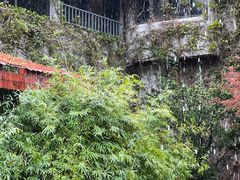-中国茶叶博物馆(双峰馆区)