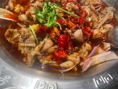 -海岛八号龙虾烧烤田鸡(蓝天路总店)