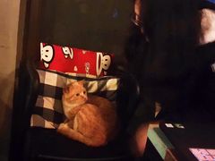 -时光转角咖啡馆(西康路店)