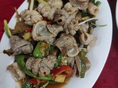 炒鱼杂-蛇口康乐快餐鱼仔档(翠苑小区店)