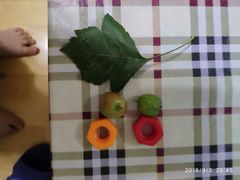 -胖子过桥米线(大成路店)