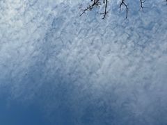 -春花秋色城市公园