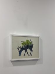 -索菲医疗整形美容