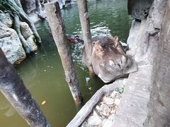 -长鹿旅游休博园