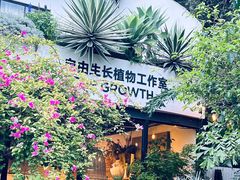 -自由生长植物工作室(深港花卉中心店)