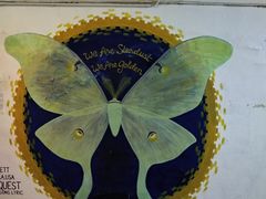 -槟城街头艺术街区