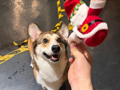 -Infica Coffee