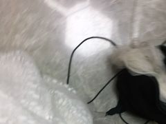 -玫瑰海岸文化旅游度假区