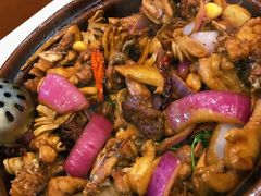 -胡须佬鸡煲四季火锅(龙珠大道店)