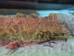 -白鹤梁水下博物馆