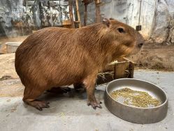 -Zoolung Zoolung动物主题公园(海信广场店)