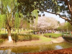 -白塘生态植物园