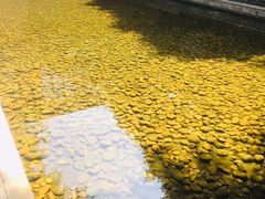 -中国艺术研究院油画院